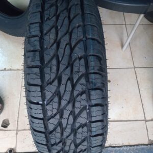 265/65r17 Ecolander