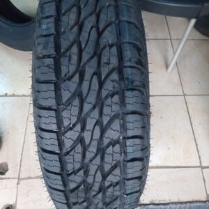 225/65r17 Ecolander Tyres
