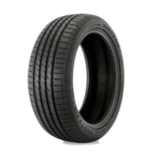 225/55R19 MAXTREK SIERRA S6